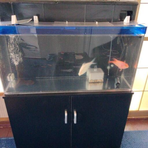 値下げ！アクリル90㌢水槽など！