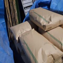 お米令和6年度産