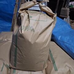 お米令和6年度産