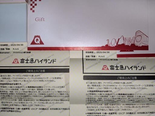 富士急ハイランド フリーパス 大人2名分 2025.4.30まで