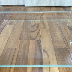 ネオグラステラ　H36