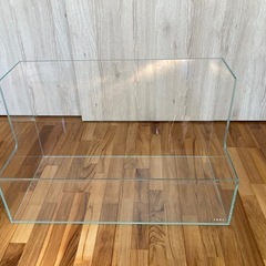 ネオグラステラ　H36