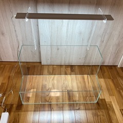 ネオグラステラ　H36