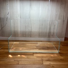 ネオグラステラ　H36