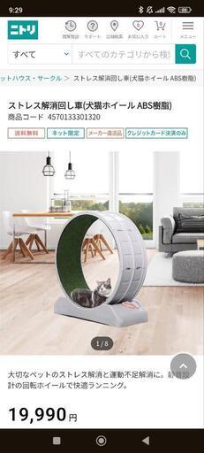 期間限定タイムセール！7000円！【美品・激安】ドックキャットホィール・キャットウォーク