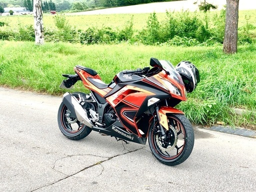 カワサキninja250 \n