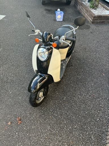 整備済み　スクーピー