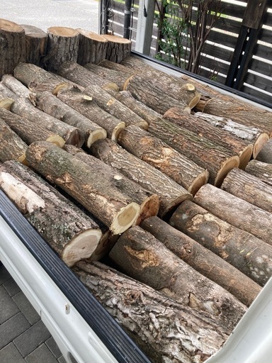 薪用　広葉樹玉切材(配達可)