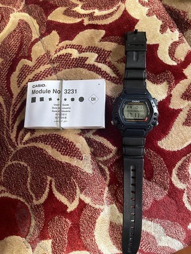 希少カシオDW 290