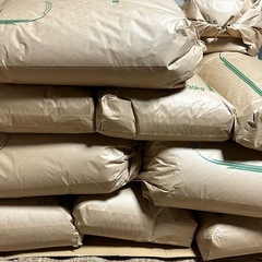 フジカラー1998年ポストカード観月ありさ等身大カットアウト（新品）