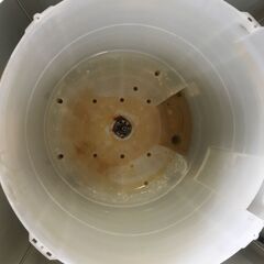 洗濯機の分解クリーニング行っています！配送設置込み　ハイセンス5.5K洗濯機　2018年製　分解クリーニング済み！！