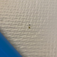 【配送不可】JOYCRAFT ジョイクラフト FE2-BU 2人乗り リジッドフレックス ゴムボート 小型船舶