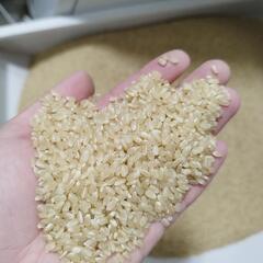 令和6年度福島県産ひとめぼれ新米30キロ玄米、1等米、農家直送