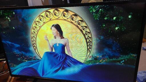 Panasonic VIERA  43型\nフルハイビジョンテレビ\nUSB HDD録画対応 　No40
