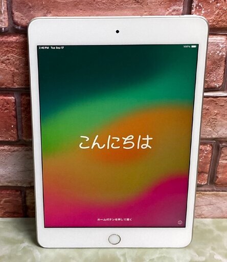 値下げ交渉可能　iPad mini 第5世代　256GB 本体と充電機のみ　未開封品