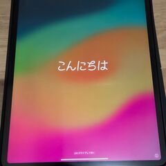 iPad Pro 12.9インチ 第4世代 Wi-Fi 256GB スペースグレイ Apple