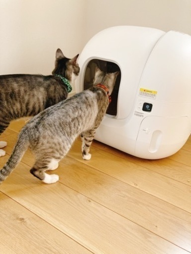 【新品】早い者勝ち！猫自動トイレPETKIT