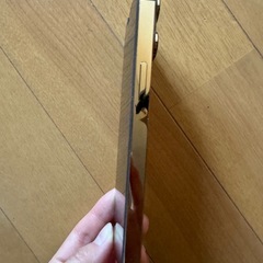 iPhone13プロ（1TB