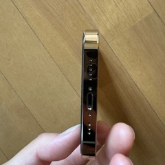 iPhone13プロ（1TB