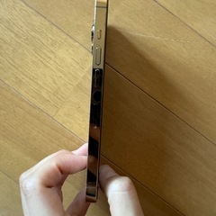 iPhone13プロ（1TB