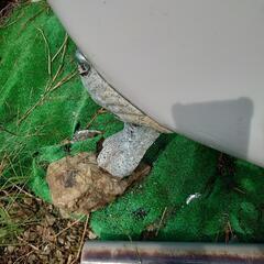 猫足バスタブ　風呂