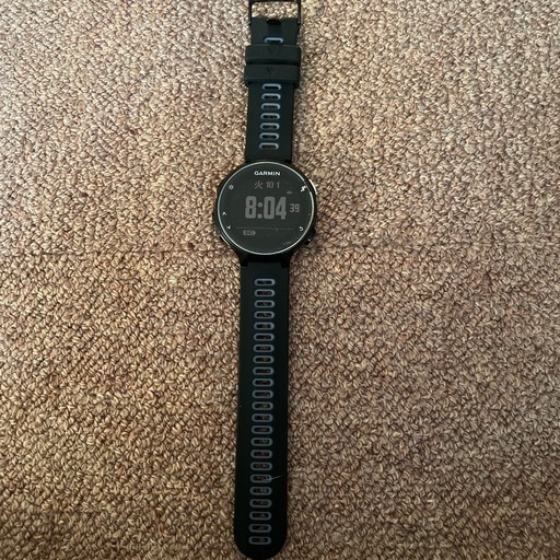 弦楽器、ギター Garmin 230J