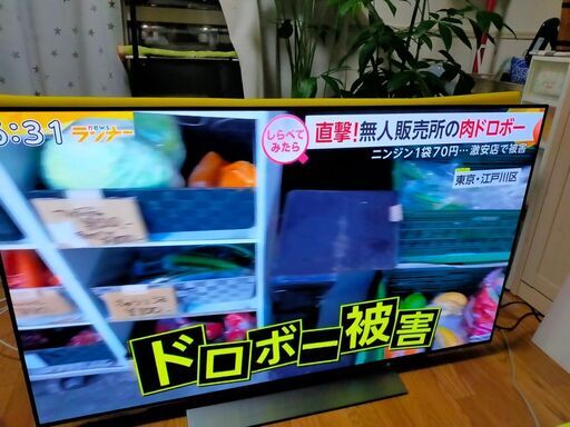 ②【動画あり】東芝 レグザ REGZA TOSHIBA 55X830 2019年製 55インチ 有機EL 4K テレビ HDR/倍速/Net動画 ユーチューブ アマプラ ネットフリックス 観れます！美品