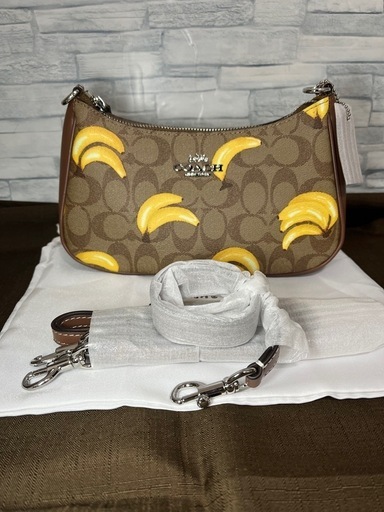 ★新品未使用★ COACH Teri Banana  2WAY ショルダーバッグ