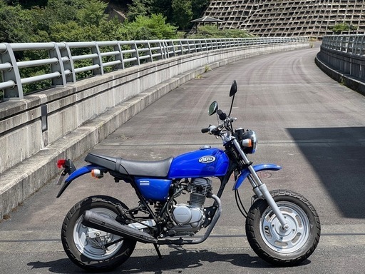 エイプ100