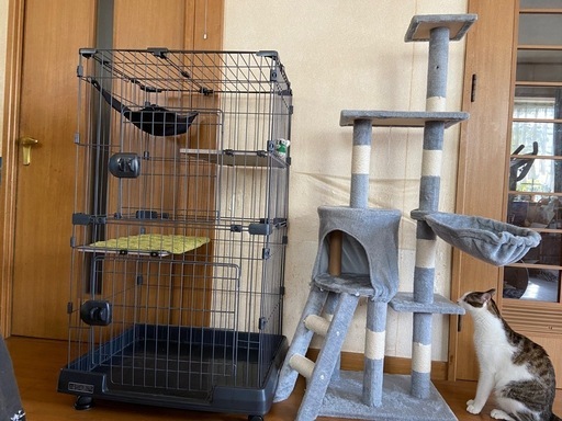 猫関連グッズ