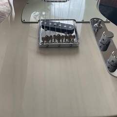 MOMOSE MT2-STD/NJ テレキャスター