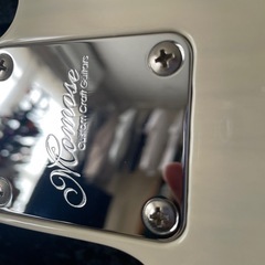 MOMOSE MT2-STD/NJ テレキャスター