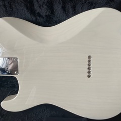 MOMOSE MT2-STD/NJ テレキャスター