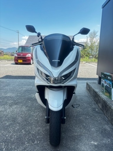 PCX JF81 美品\n