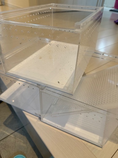 レプタイルボックス　ウェットシェルターのセット