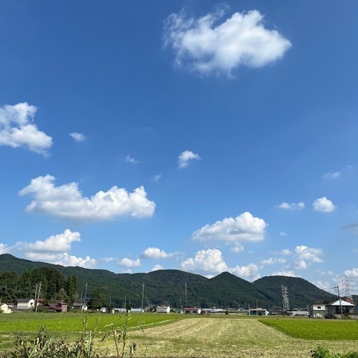 澄んだ大地で農家一筋100年以上が育ててた