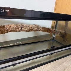 爬虫類 ケージ WP1050