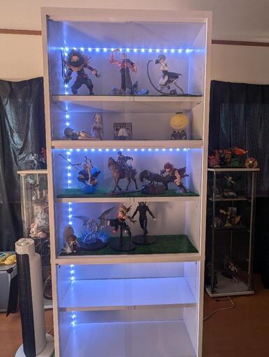 コレクションケース  棚  長棚