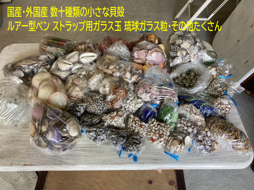 国産・県産・外国産色々な貝殻あります　まとめてお譲りします