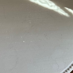 SGサイドオーバルテーブルフローラマスティック