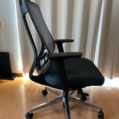FlexiSpot C2 オフィスチェア