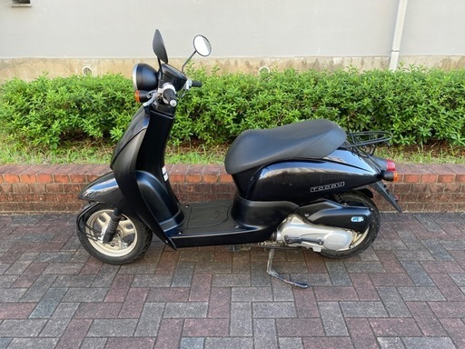 スズキ HONDA TODAY AF67
