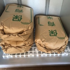 新米 令和6年収穫🌾　ハザ掛米『風さやか』玄米30kg