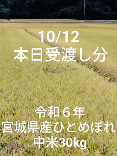 令和６年\r\n宮城県産ひとめぼれ 中米(玄米)30kg