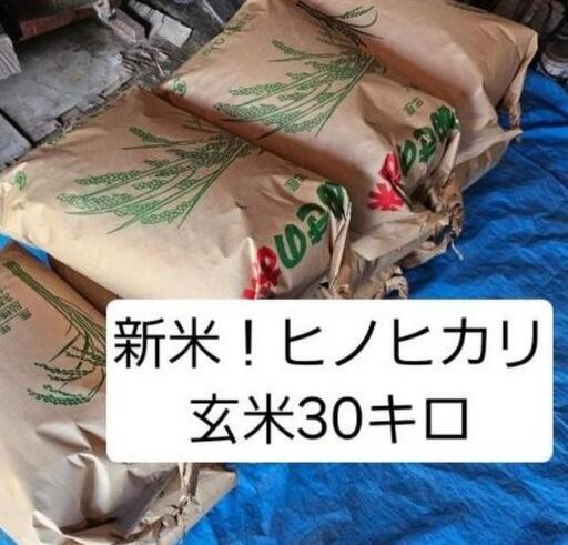 新米！ヒノヒカリ30キロ