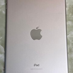 値下げ交渉可能　iPad mini 第5世代　256GB 本体と充電機のみ　 ②