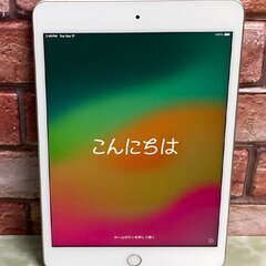 値下げ交渉可能　iPad mini 第5世代　256GB 本体と充電機のみ　 ②
