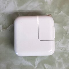 値下げ交渉可能　iPad mini 第5世代　256GB 本体と充電機のみ　 ②