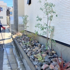 割栗石、ドライガーデン、庭石、ロックガーデン値下げ中！