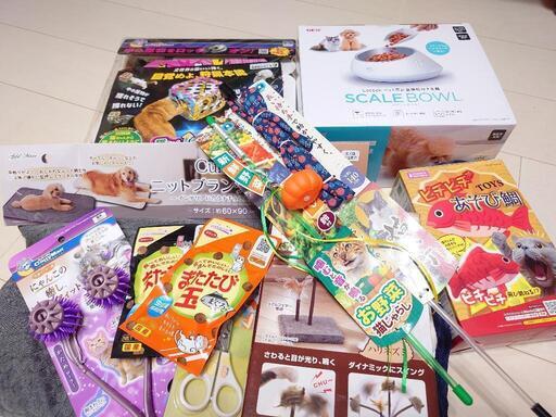 【猫用】猫用品セット おもちゃなど